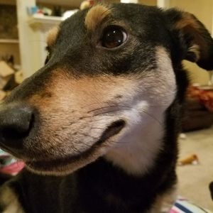 Meet your Posher, Lori